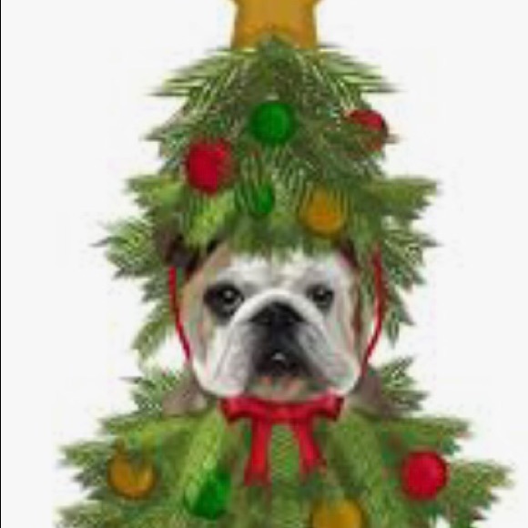 GEORGE MICHAEL 8x10 Framed Photo ICONIC B&W - Picture 3 of 6